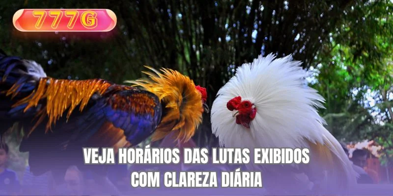 Veja horários das lutas exibidos com clareza diária